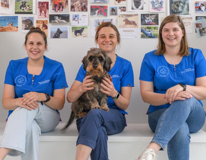 Dierenarts Oostduinkerke openingsuren